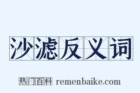 沙滤反义词是什么意思的图片